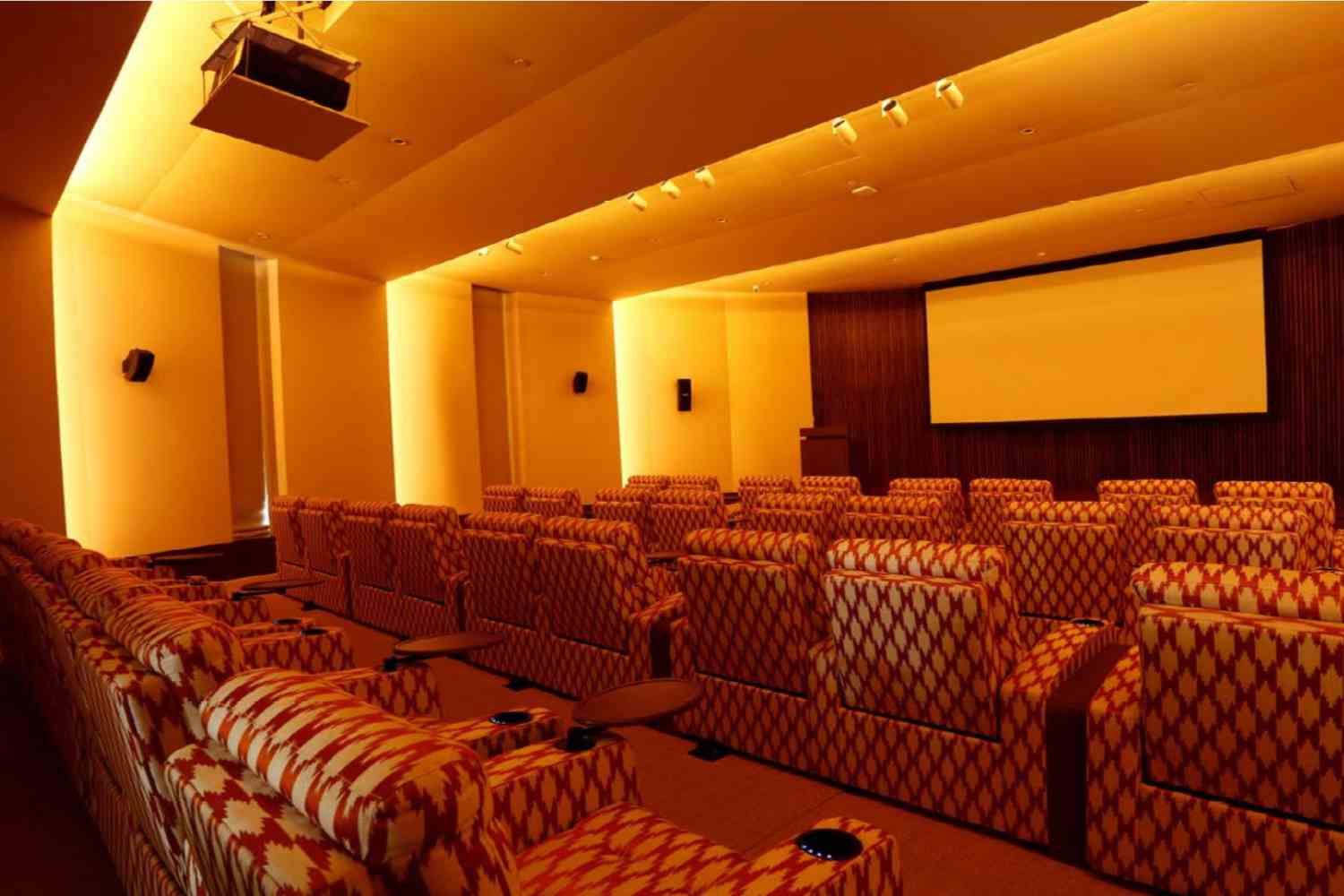 Theater / AV Room​
